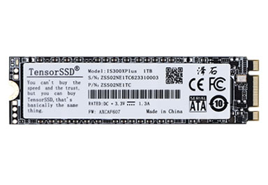 SATA接口工业级M.2 2280工作温度-25~70℃256GB固态硬盘– 泽石科技